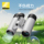 Детский телескоп Nikon 8x21 mini компактный портативный для защиты глаз с высоким увеличением HD подарок на день рождения мальчикам и девочкам mini 1