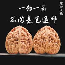 Fine cultural toys walnut (Nanjiang stone lion head) large concave bottom ant pattern cannonball pile Nanjiang stone wild