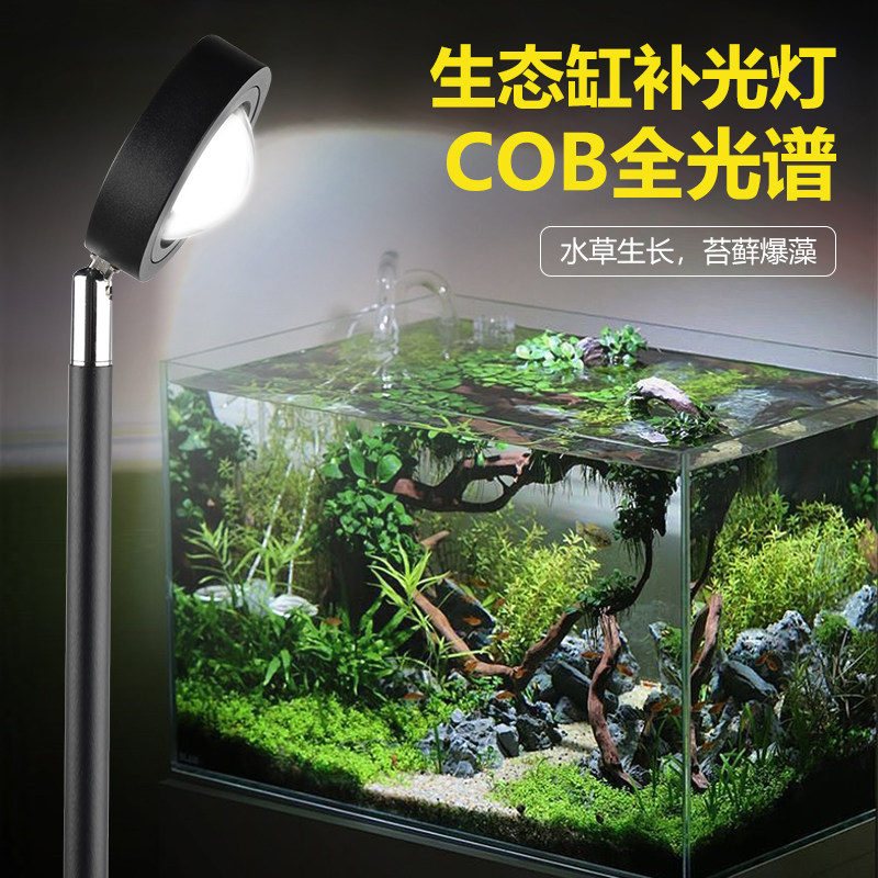 生态缸补光灯全光谱植物灯阳台热植多肉盆栽专用落地式室内生长灯