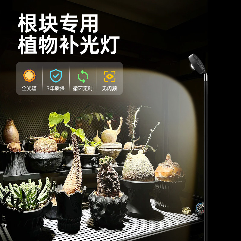 根块专用补光灯植物生长灯室内全光谱绿植阳光盆栽微景观专用射灯