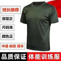 Summer physical training clothing set mens physical fitness clothing short-sleeved tops quick-drying sports t-shirt physical shorts
