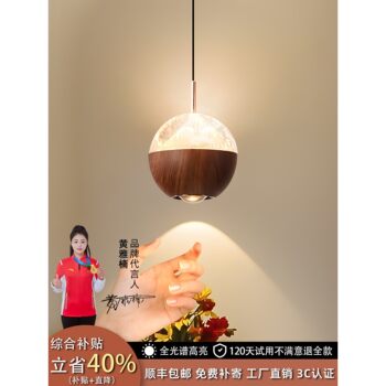 Vintage-Style Bedroom Bedside Chandelier with Ice-Crack Glass, Single-Head, Adjustable Height, Smart Touch Sensor, Ambiance Pendant Light