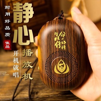 Rechargeable Portable Music Player for the Elderly, Suitable for Home and Outdoor Use, Single Song Loop Playback, Card Insertion, High Volume