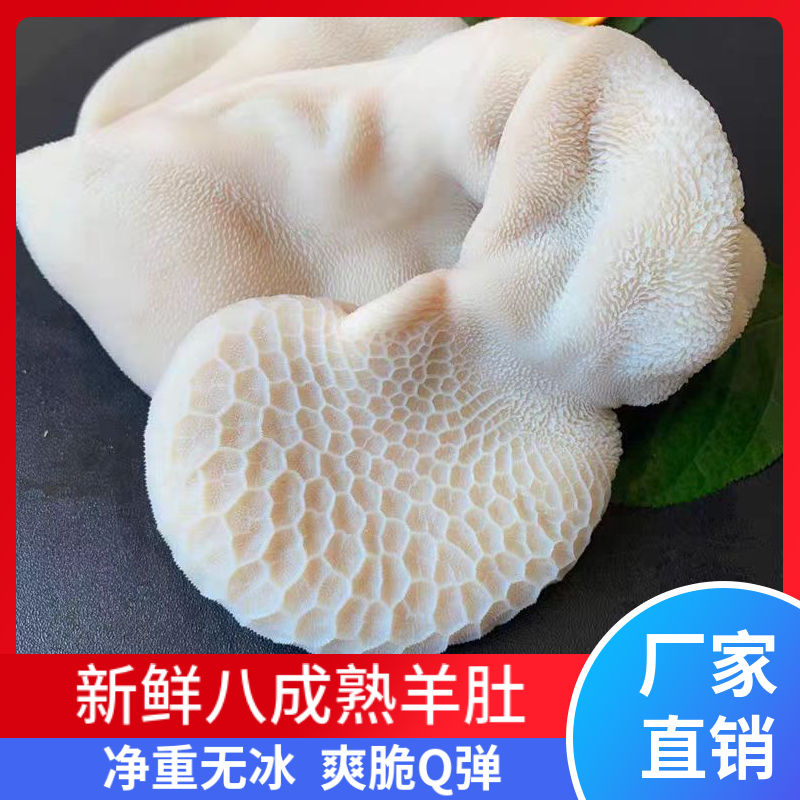 Semi-Cooked Sheep Tripe, Goat Stomach, Sheep Internal Organs, Hot Pot Ingredients, Etc. 2.5kg Wholesale Items for Commercial Use with Free Shipping