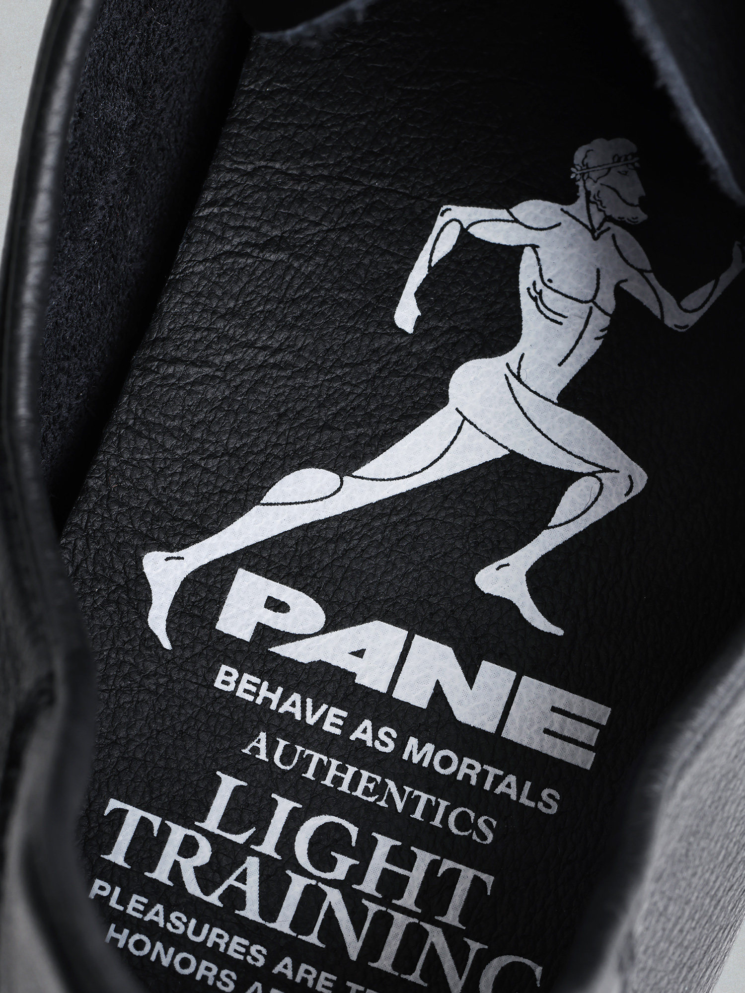Pane light training no-gi series mystique mysterious visitor black 