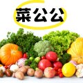 菜公公园艺的LOGO