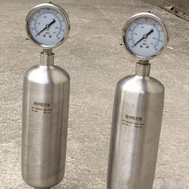 Stainless steel 304 material pulse resistor 4 minutes inner wire interface pulse resistor for metering pump including pressure gauge 0 8L