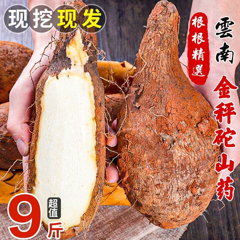 Yunnan Golden Libra Weight Yam 5 Catty Authentic fresh Lingzhi Non-iron rods Huaishan Huai Mountain about sheet Sticks Small White Mouth Powder Glutinous 9-Taobao