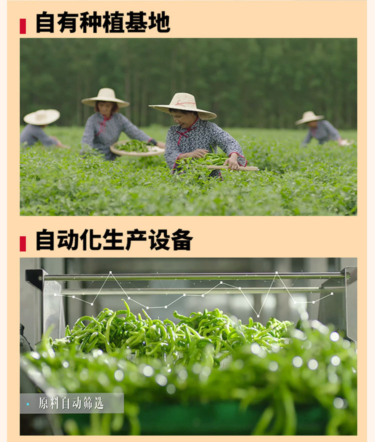 安享好物 安享D级油辣椒-川娃子香酥油辣子  