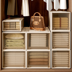 Luyi Wardrobe Storage Box Drawer Type For Home Storage Box Clothes Pants Intimates Storage Box Transparent Finishing Box