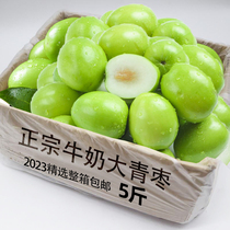 Zhangzhou Milk Large Green Dates 10 Catty Winter Dates Fresh Dates Fresh Date Zaozi весь ящик с молочными масляными датами