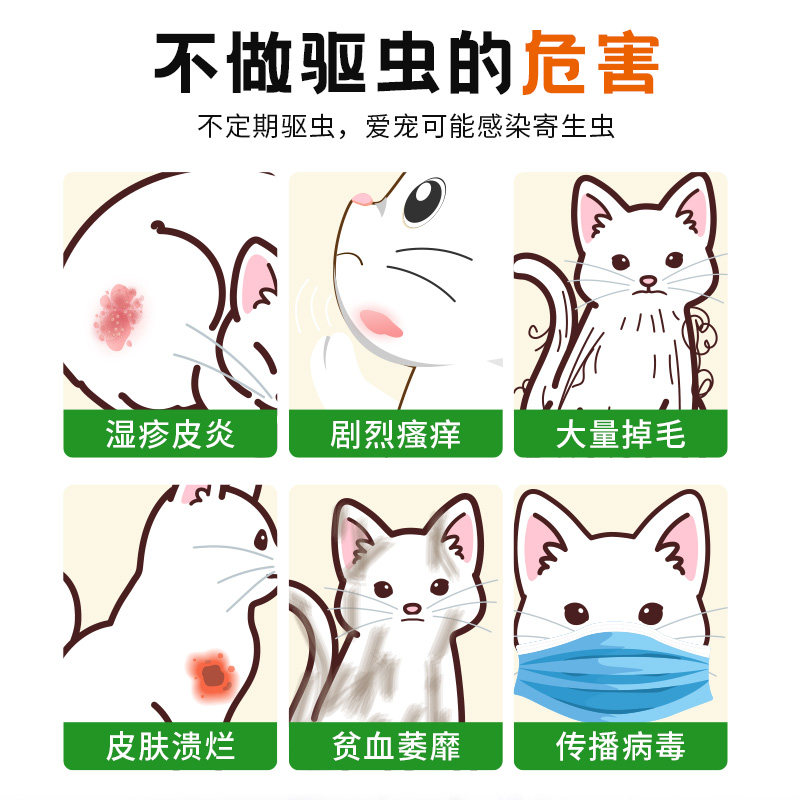 宠物健康守护之绝育手术