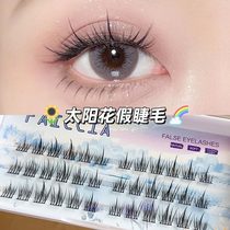 Lazy Sunflower False Eyelash Trilogy Womens Group 10mm Single Cluster Natural Daily Soft Eyelashes
