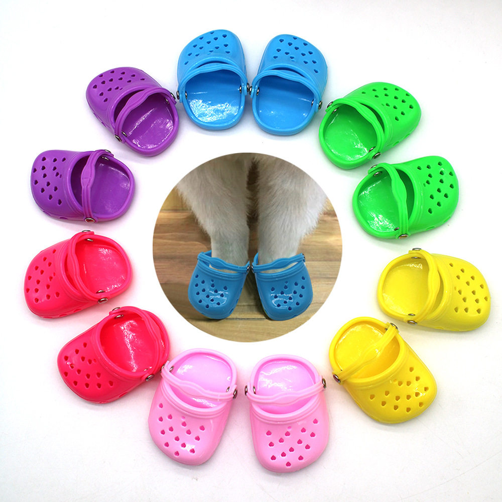 A must-buy for 25 years! so cute! pet clog sandals tested and pitfalls ...
