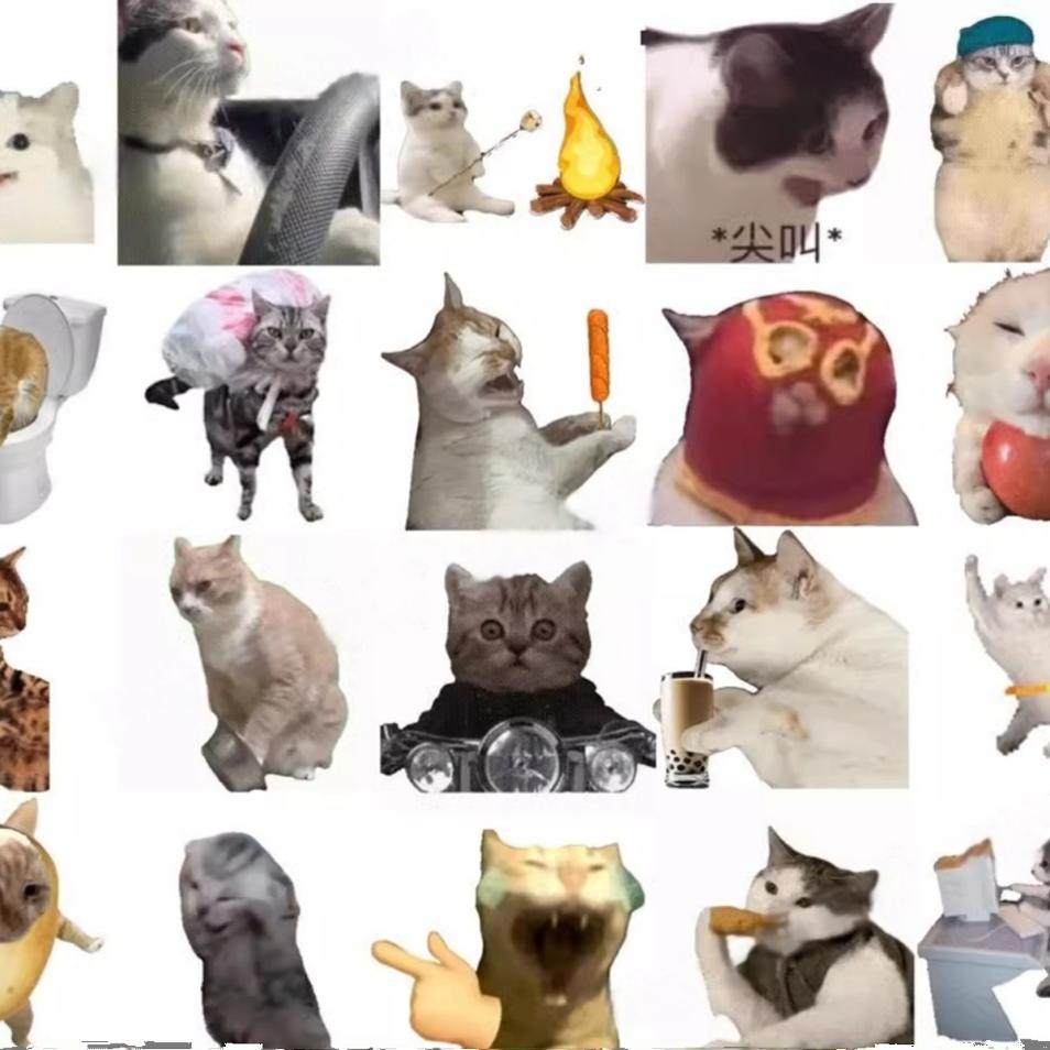 245个神经猫meme表情包，微信群斗图神器！_游戏大全_淘宝游戏网