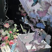 Butterfly door curtain gift box decoration DIY material package finished pvc gift for best friend birthday graduation Chinese Valentines Day gift for women