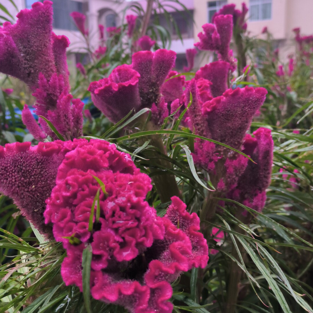 万肤堂药业