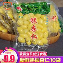 (10 bags) Fresh Ginkgo Almond and Ginkgo Shelled Vacuum Packaging High Quality Happy Fresh Ginkgo Kernel Pizhou Specialty