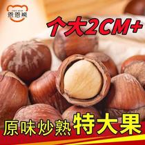 Northeast large hazelnut new arrival hazelnut open large hazelnut original thin-skinned dried fruit nut kernel Northeast specialty large hazelnut