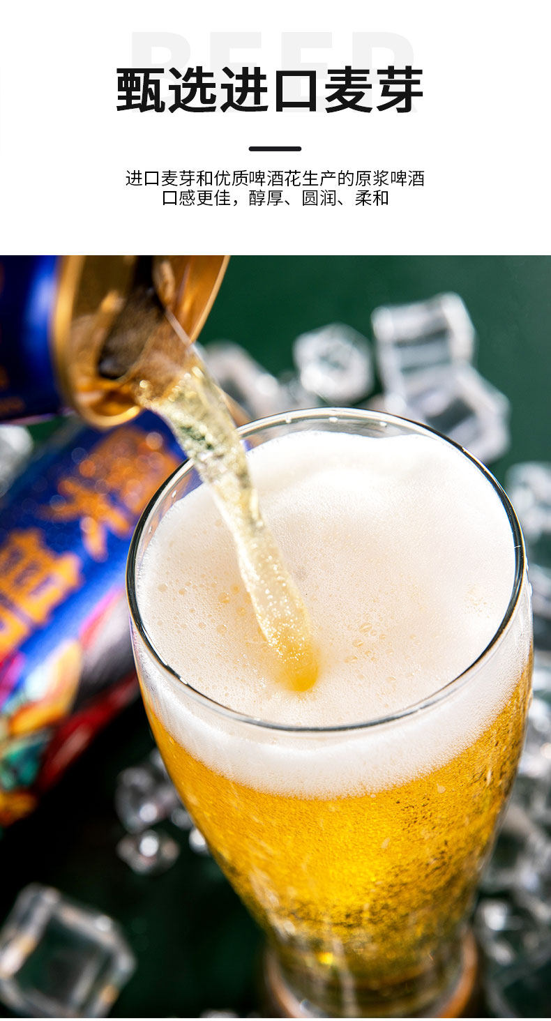 泸州老窖 奥普蓝 熊猫原浆啤酒 500mL*12罐 下单折后￥43.5包邮 新客6元首单礼金