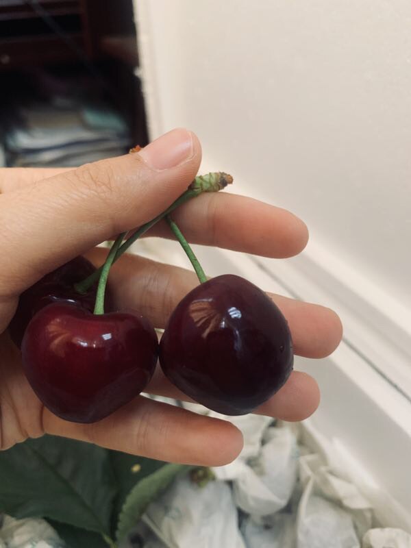 汉源农产品基地直发