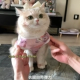 Кошачья одежда котенок летний жилет тонкий стиль антиворота золотоноседленного слоистых слоистых слоистых и белых питомцев Средний и большая собака