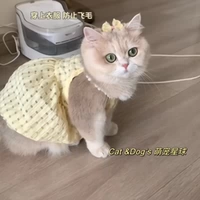 Гус -желтый костюм [юбка+шпилька]