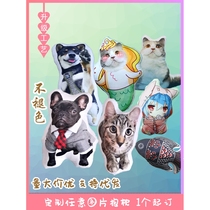 Customized cat pillow pet alien giant ugly no white edge pet alien diy custom pillow 3D photos to come