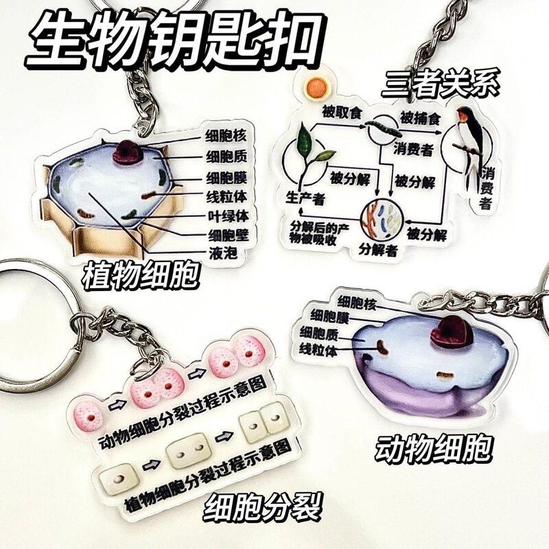 Biological Keychain with School Blessings, Cute and Inspirational, Good Meaning, Key Chain, Bag Pendant, Small Gift for Students