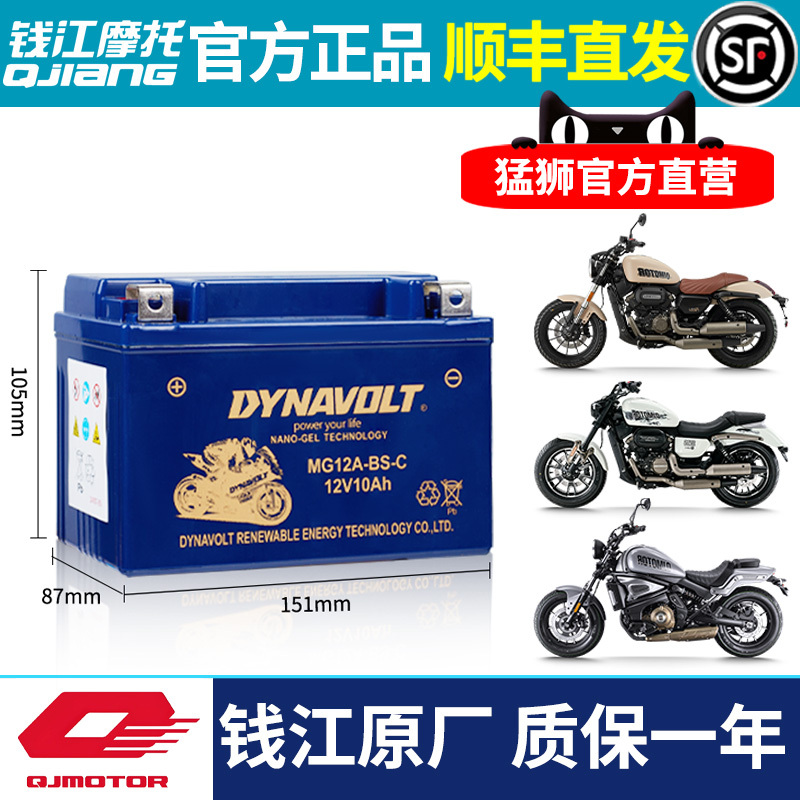 Original Qianjiang Flash 300, Flash 350, Flash 300S, Flash 500S, Flash 600, Race 600, Race 800, Race 921, and Race 750 Batteries