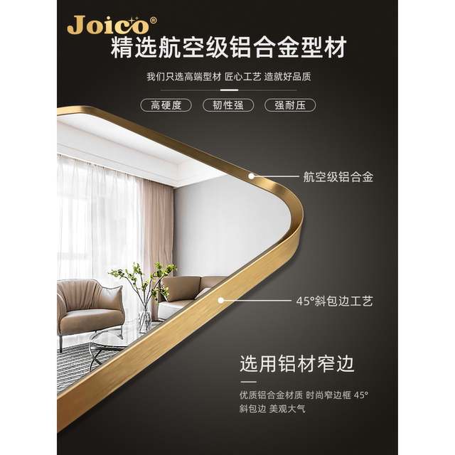 Swiss Joico Light Luxury High-End Full-Length Mirror Wall-Mounted Entrance Mirror with Frame for Home Use Explosion-Proof Fitting Mirror