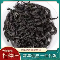 New Arrivals of Eucommia Leaf Tea Zhangjiajie Eucommia Eucommia Leaves Eucommia Male Flowers and Leaves Good Price in Large Quantity