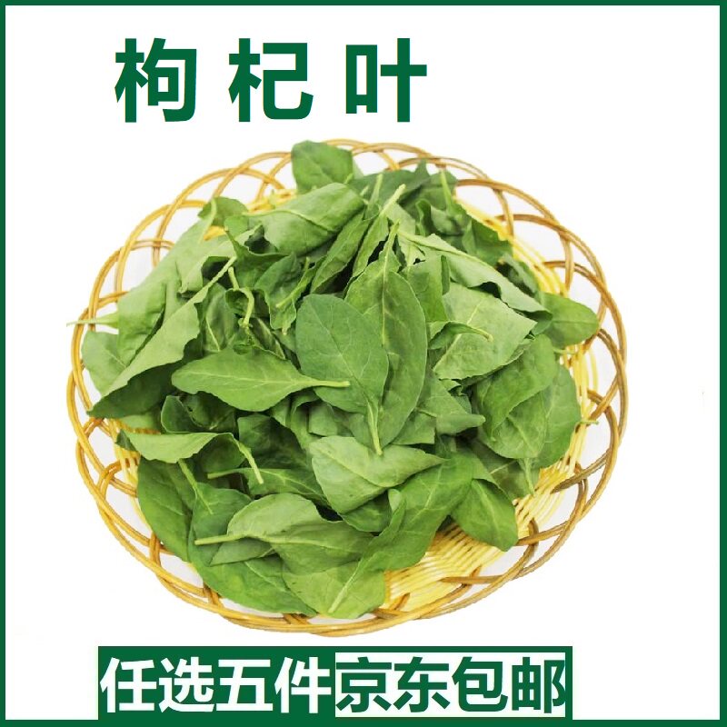 福建鲜嫩枸杞叶500g!煮汤一绝!这波养生真的太香了!-叶菜类-淘宝好物网