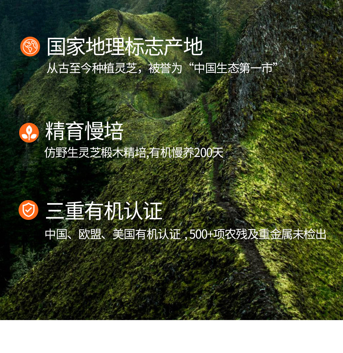 【中國直郵】 植有樂 靈芝掛耳咖啡 養生咖啡 有機靈芝 醒神黑卡 0蔗糖 10g*15包/盒