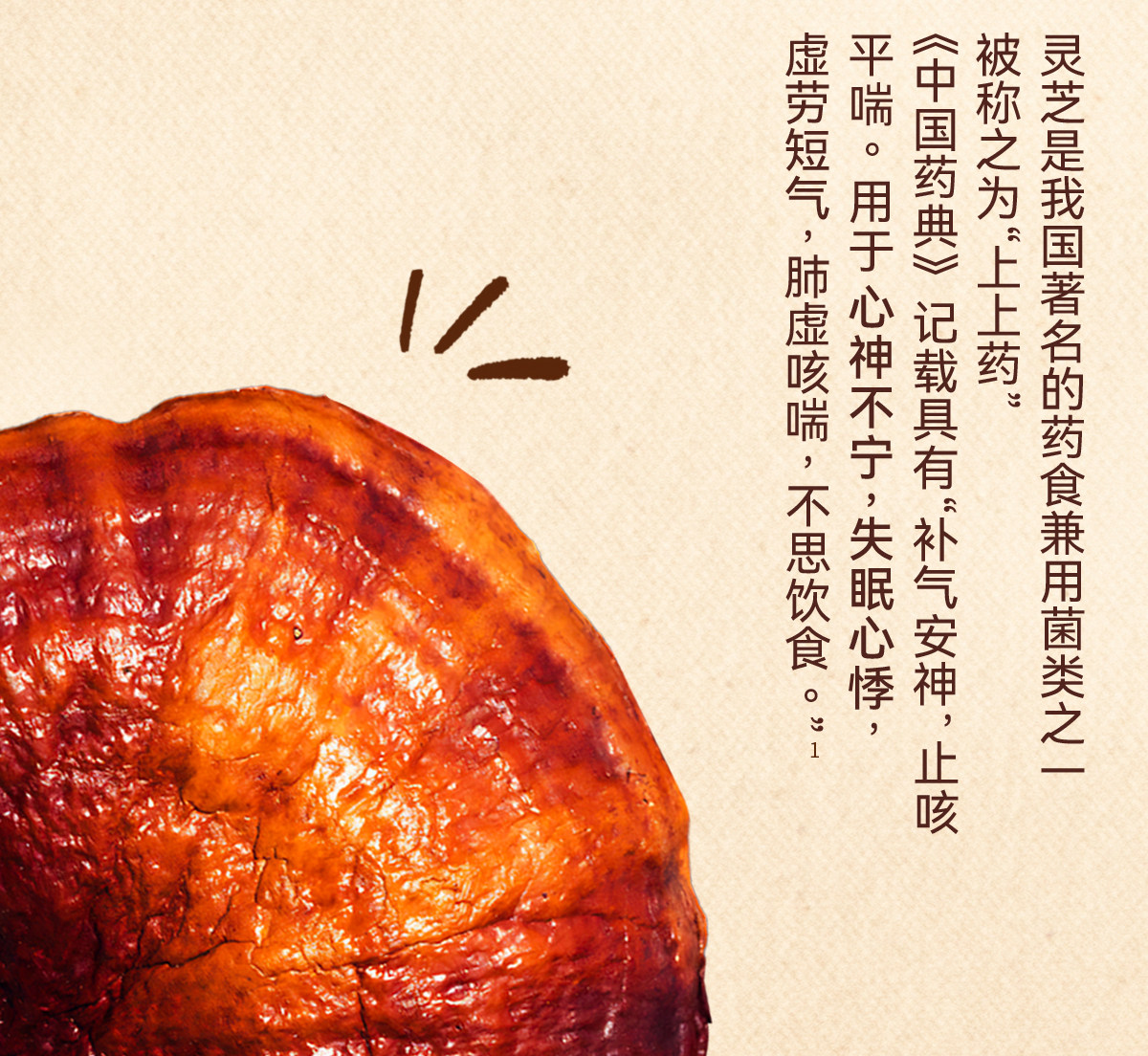 【中國直郵】 植有樂 靈芝掛耳咖啡 養生咖啡 有機靈芝 醒神黑卡 0蔗糖 10g*15包/盒