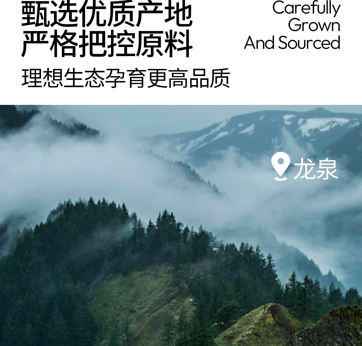 【中國直郵】 植有樂 靈芝掛耳咖啡 養生咖啡 有機靈芝 醒神黑卡 0蔗糖 10g*15包/盒