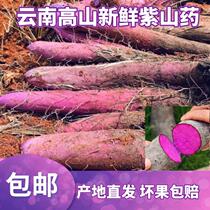 Yunnan high mountain farmers grow pure purple yam fresh 3kg-9kg iron bar yam fresh vegetables
