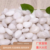 Shanxi white pebbles natural landscaping paving stone raw stone Yuhua stone white stone fish tank 50 pounds yard