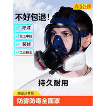 Gas mask full face spray paint chemical formaldehyde anti dust full face pesticide poisoning hood respiratory mask fire protection