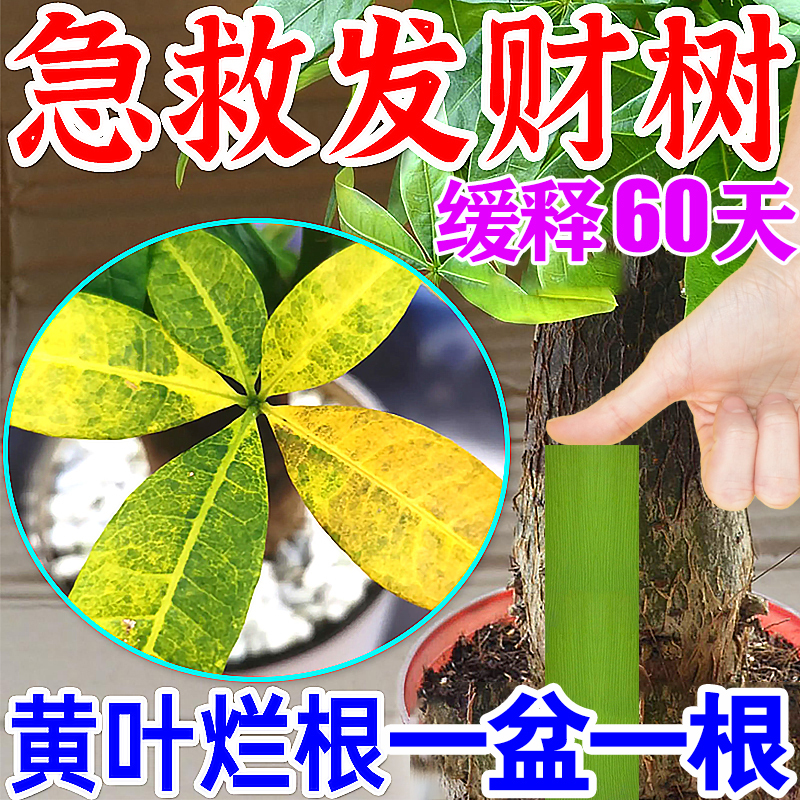 Special Nutrient Solution for Money Trees, Special Nutrient Stick for Yellow Leaves, Dead Leaves, and Rotten Roots, Slow-Release Fertilizer for Potted Plants, Plant Emergency Kit