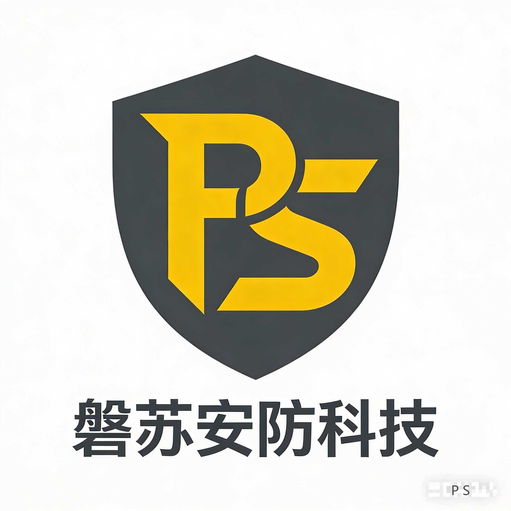 磐苏安防科技