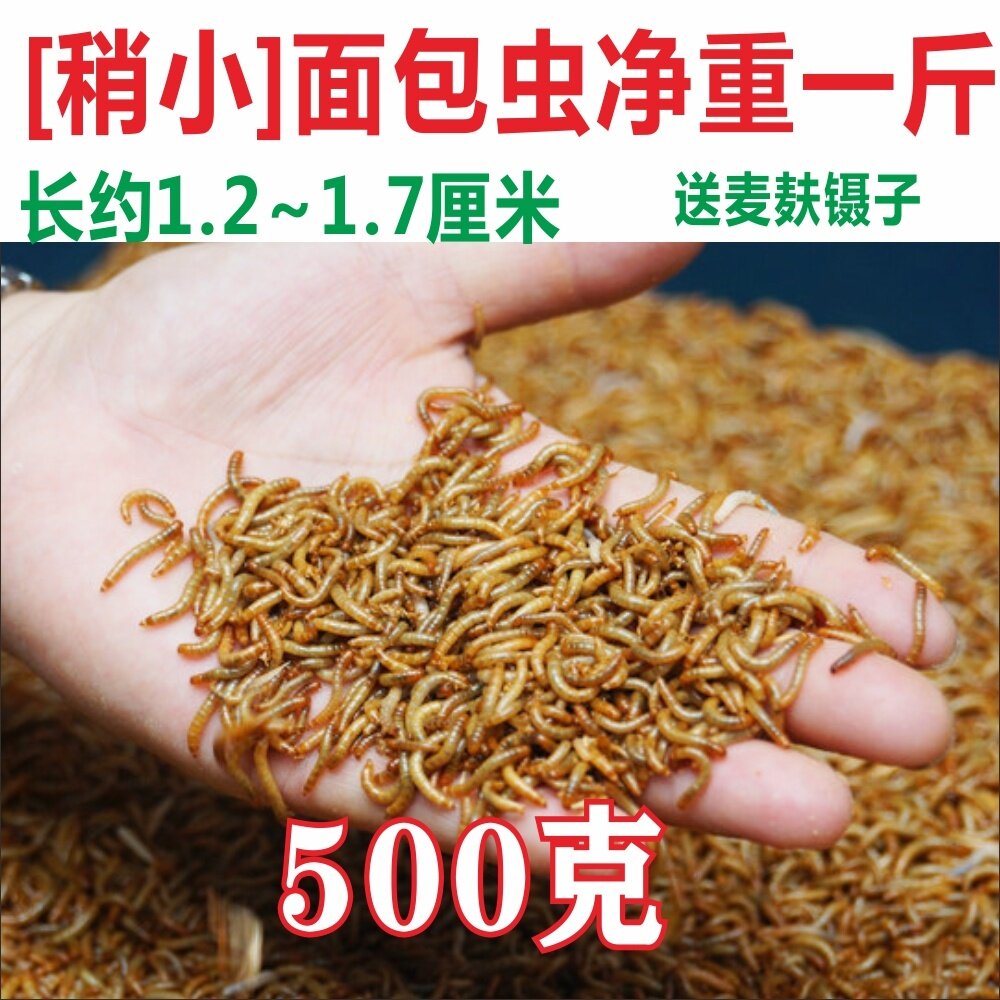 苏州活体大型养殖