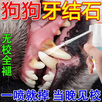Dog tartar dissolving tartar fast-acting bad breath probiotic pet dog tartar remover cleaning oral softener