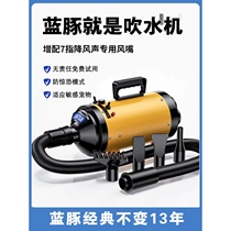 Xiaomi rice noodles are suitable for pet water blowers Blue Dolphin pet water blowers cat bathing and drying high-power silent dogs