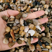 Natural cobblestone swamp filter stone floor heating leveling backfill special pisolite washed filter material water treatment stone