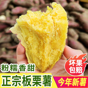 Fresh sweet potato, chestnut and sweet potato flour are glutinous and sweet