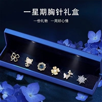 Brooch, high-end, exquisite and fashionable female niche suit accessories, birthday gift for best friend, mother, wife, teacher