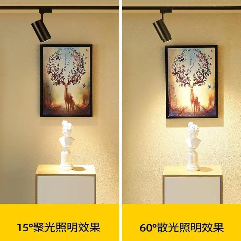 LED bold lamp double head single head double spotlight downlight black square grille embedded bean gall lamp home