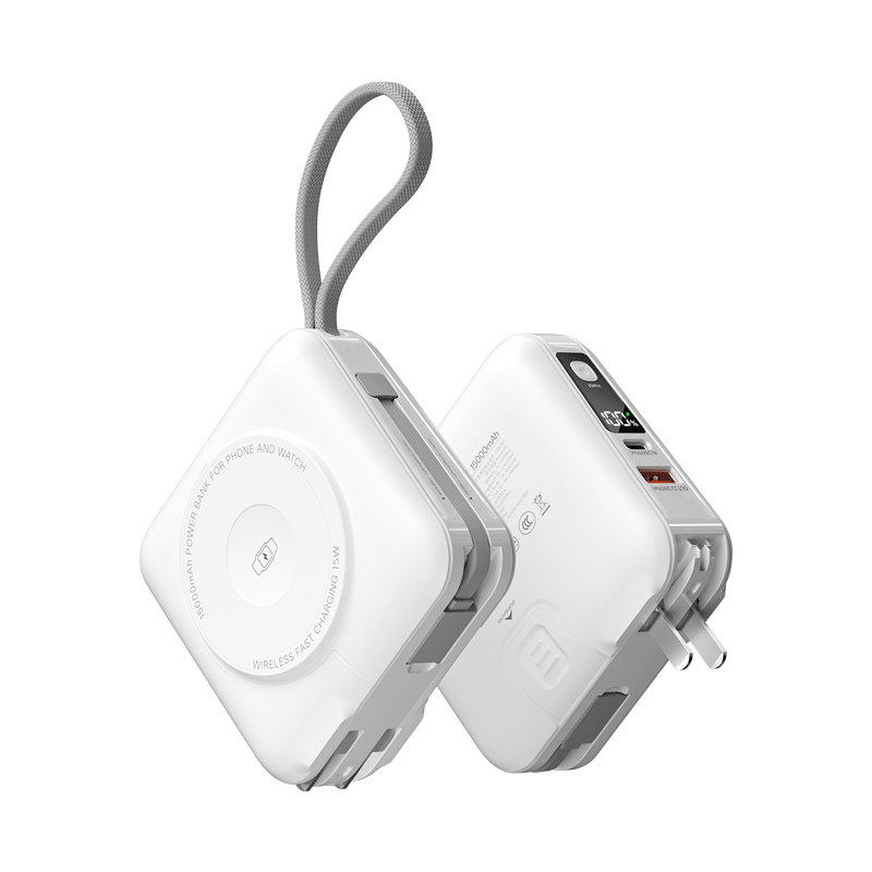 Berfsm Multi Plug & MagSafe