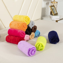 Warm Coral Fleece Blanket Winter Sheet Bedspread Sofa Throw